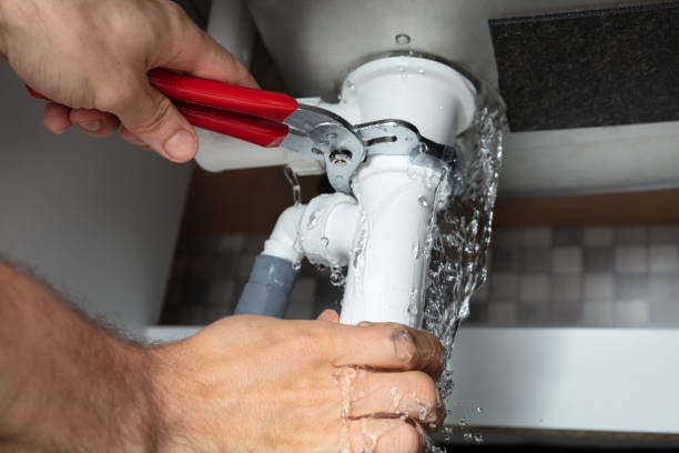 Best Water damage cleanup near me  in Milton, WA