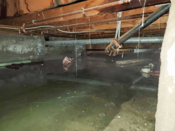 Fire Damage Restoration in Milton, WA