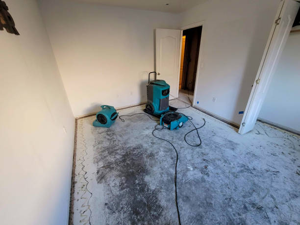 Best Water damage contractors near me  in Milton, WA