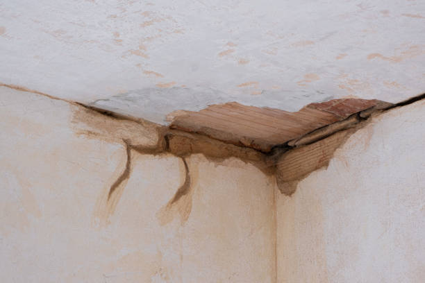 Best Water damage repair service  in Milton, WA