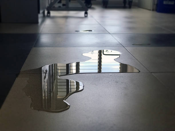 Best Water damage restoration process  in Milton, WA