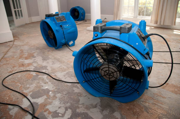 Best Water damage restoration cost  in Milton, WA