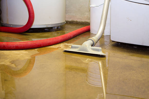 Best Ceiling water damage repair  in Milton, WA