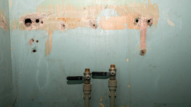 Trusted Milton, WA Water damage restoration Experts