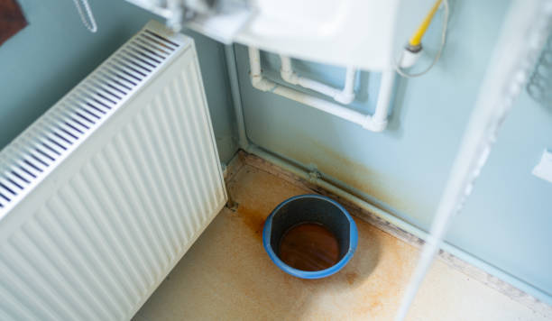 Best Flood damage cleanup  in Milton, WA