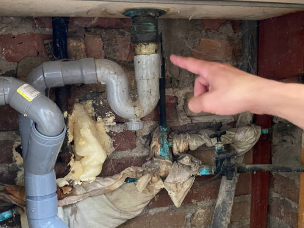 Best Flooded house restoration  in Milton, WA