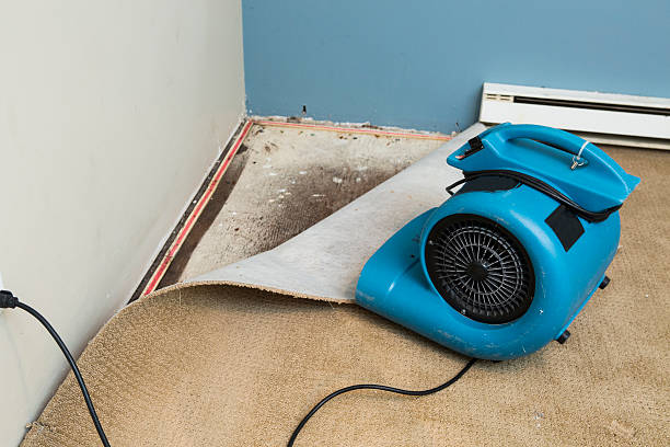 Best Water damage restoration near me  in Milton, WA